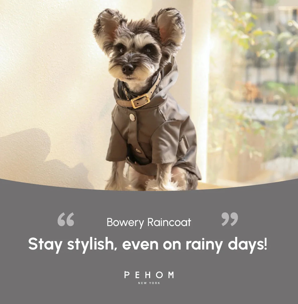 Gray BOWERY Raincoat on a small dog with a hood, featuring logo snaps and a stylish design.