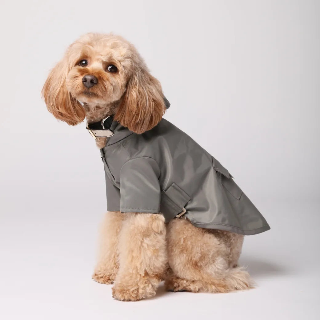 Gray water-repellent dog raincoat with logo snaps, adjustable Velcro, and back pocket, displayed on a fluffy dog.