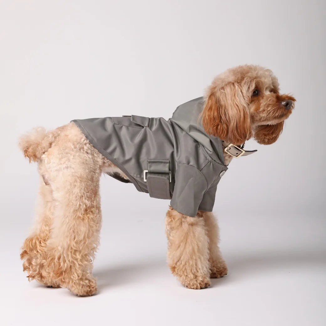Gray water-repellent dog raincoat with logo snaps and adjustable Velcro, fitted on a fluffy dog.