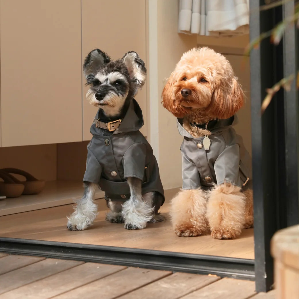 Two stylish dogs in gray Bowery raincoats by pehomnyc, showcasing water-repellent material and chic design.