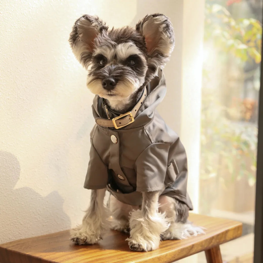 Gray raincoat for dogs featuring a hood, snap closure, and adjustable Velcro, shown on a small dog sitting on a wooden stool.