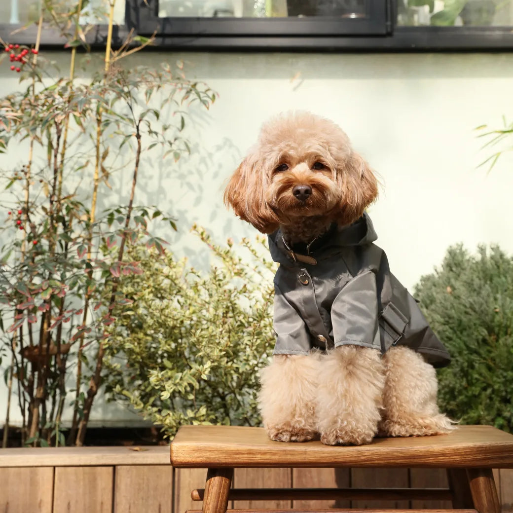 Gray waterproof dog raincoat with logo snaps and adjustable Velcro, worn by a fluffy dog in a garden setting.