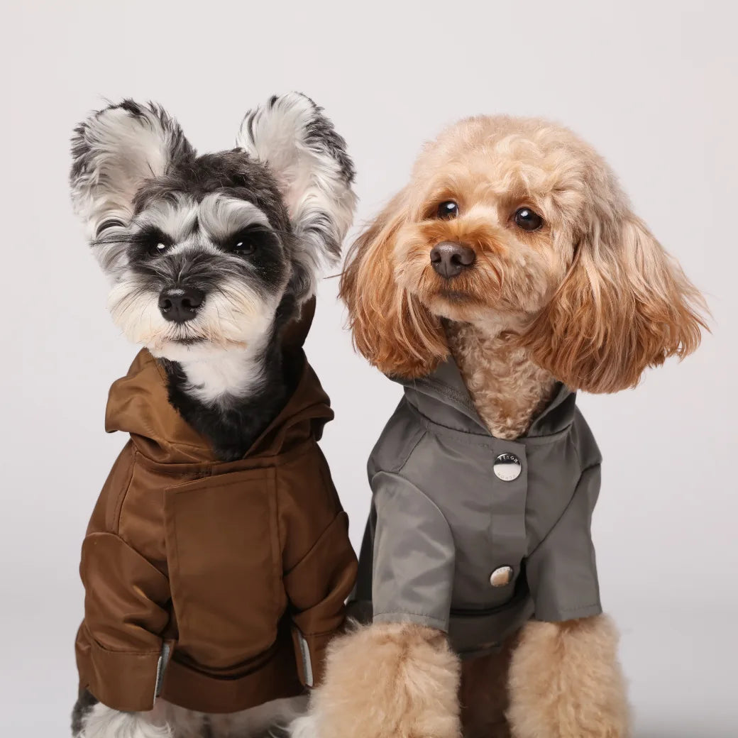 Two dogs wearing stylish raincoats: one in brown and the other in gray, showcasing modern dog apparel design.