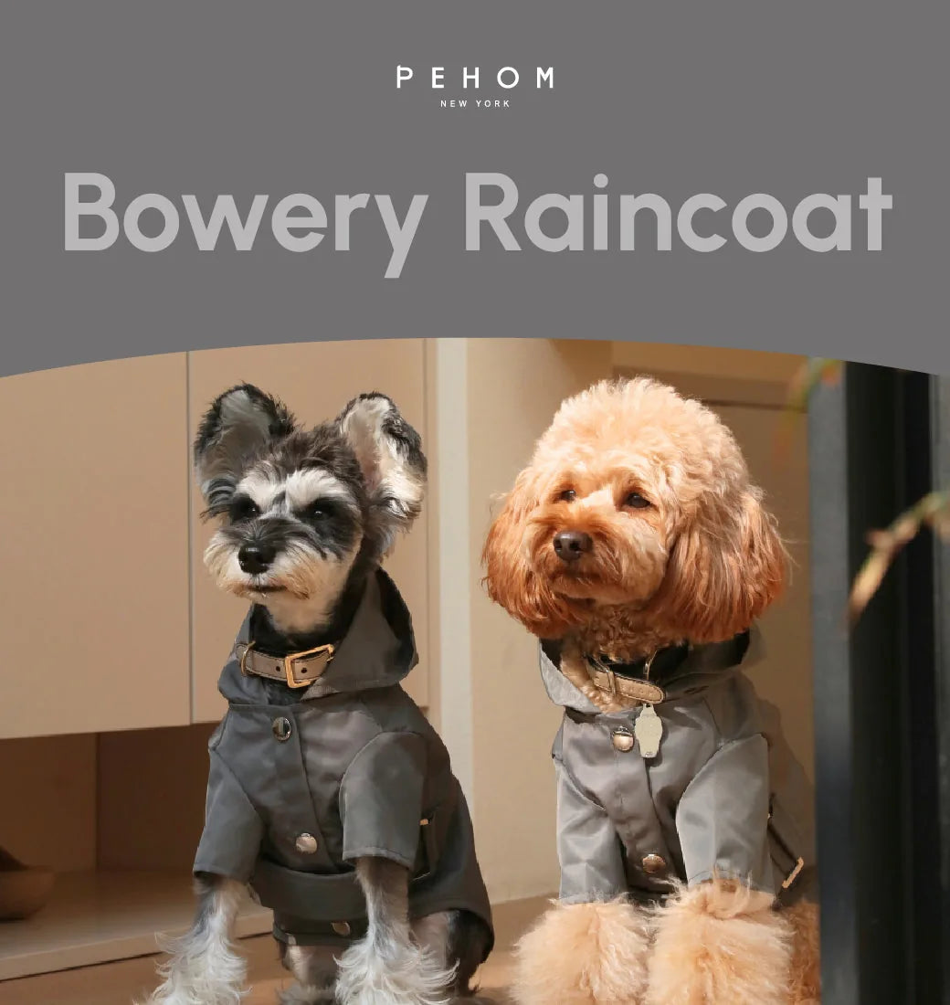 Two dogs wearing gray Bowery raincoats with logo snaps, showcasing adjustable Velcro and stylish designs.