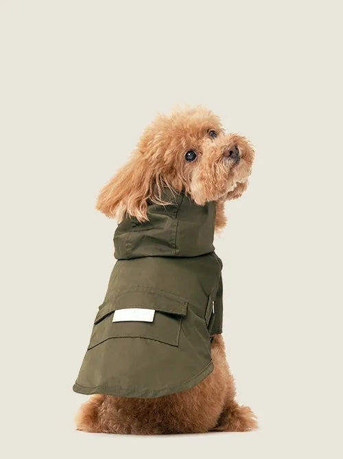 Green Bowery raincoat on a fluffy dog, featuring a hood, back pocket, and adjustable Velcro for a perfect fit.