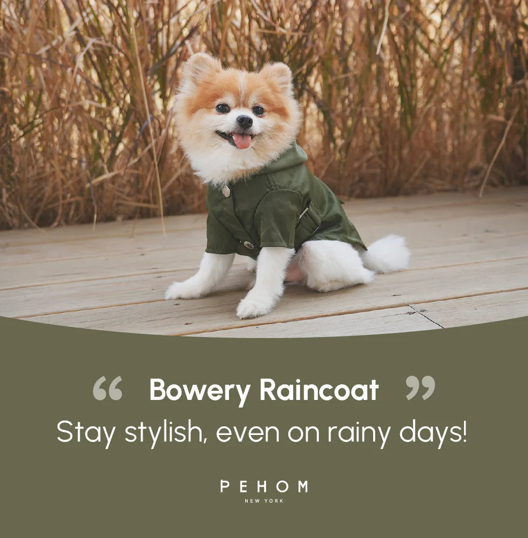 Green Bowery raincoat on a fluffy dog, featuring a hood and logo snaps, perfect for stylish rainy days.