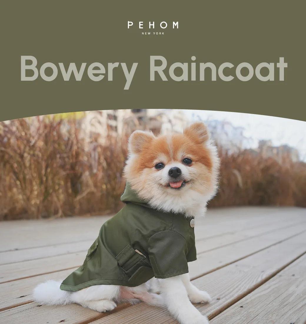 Green waterproof Bower Raincoat on a happy Pomeranian sitting on wooden planks, showcasing functional design details.