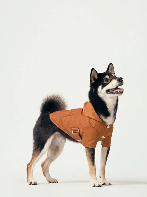 Bright orange Bowery Raincoat on a happy dog, featuring logo snap closures and a stylish design.