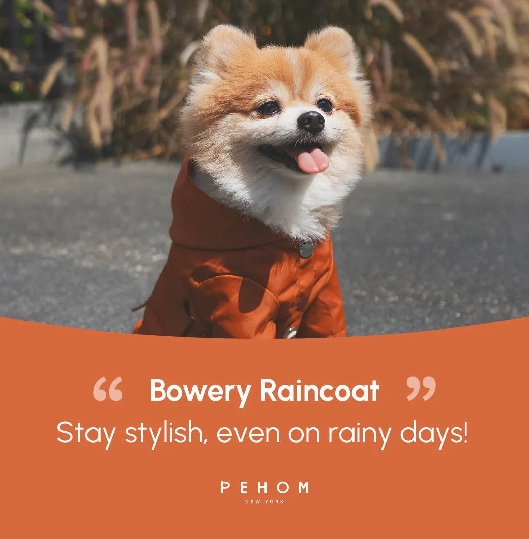 Pomeranian wearing a bright orange Bowery Raincoat, smiling and sitting outdoors against a blurred natural background.