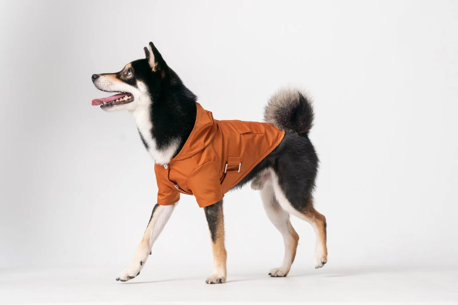 Dog wearing a bright orange Bowery Raincoat, featuring a hood and adjustable straps, walking happily.