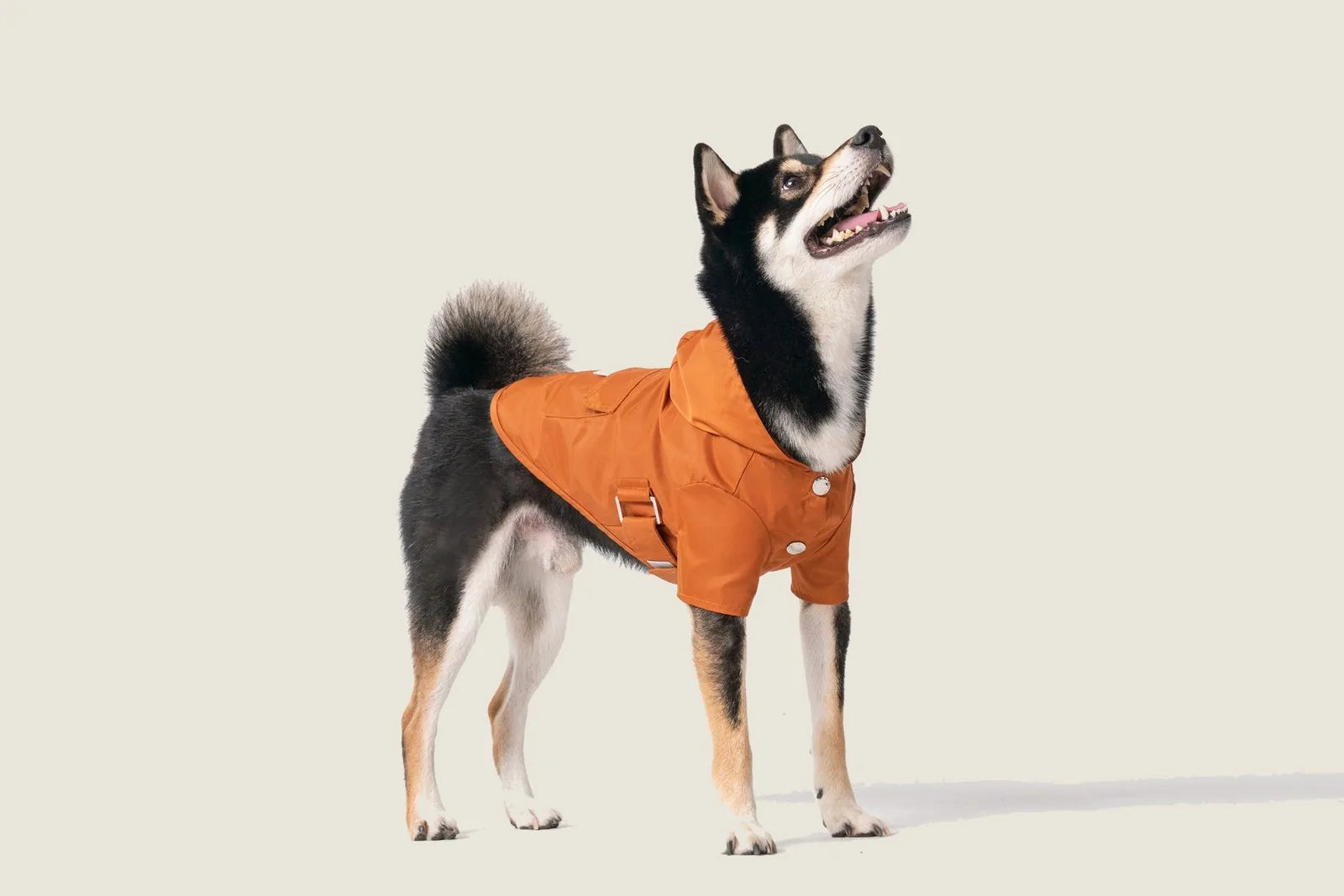 Bright orange Bowery Raincoat on a dog, featuring a hood and white snap closures, set against a neutral background.