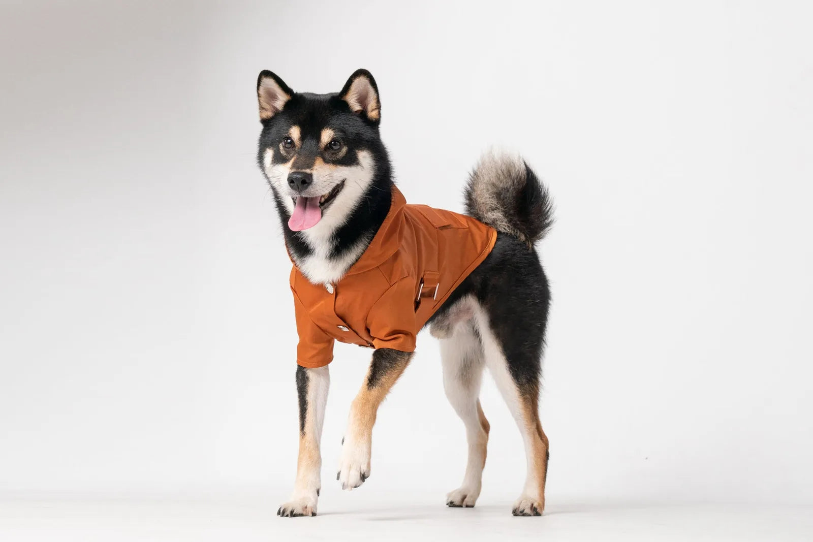 Bright orange Bowery Raincoat on a black and tan dog, featuring snap closures and a stylish hood.