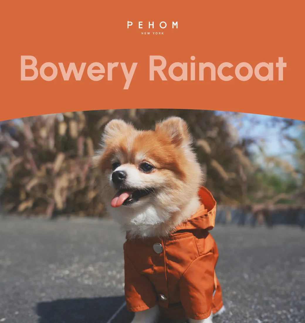 Bright orange Bowery Raincoat on a cheerful dog, featuring snap closures and a stylish hood.
