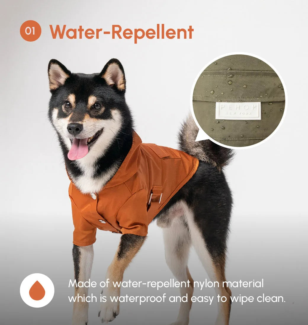 Bright orange Bowery Raincoat on a dog, featuring water-repellent material and snap closures.