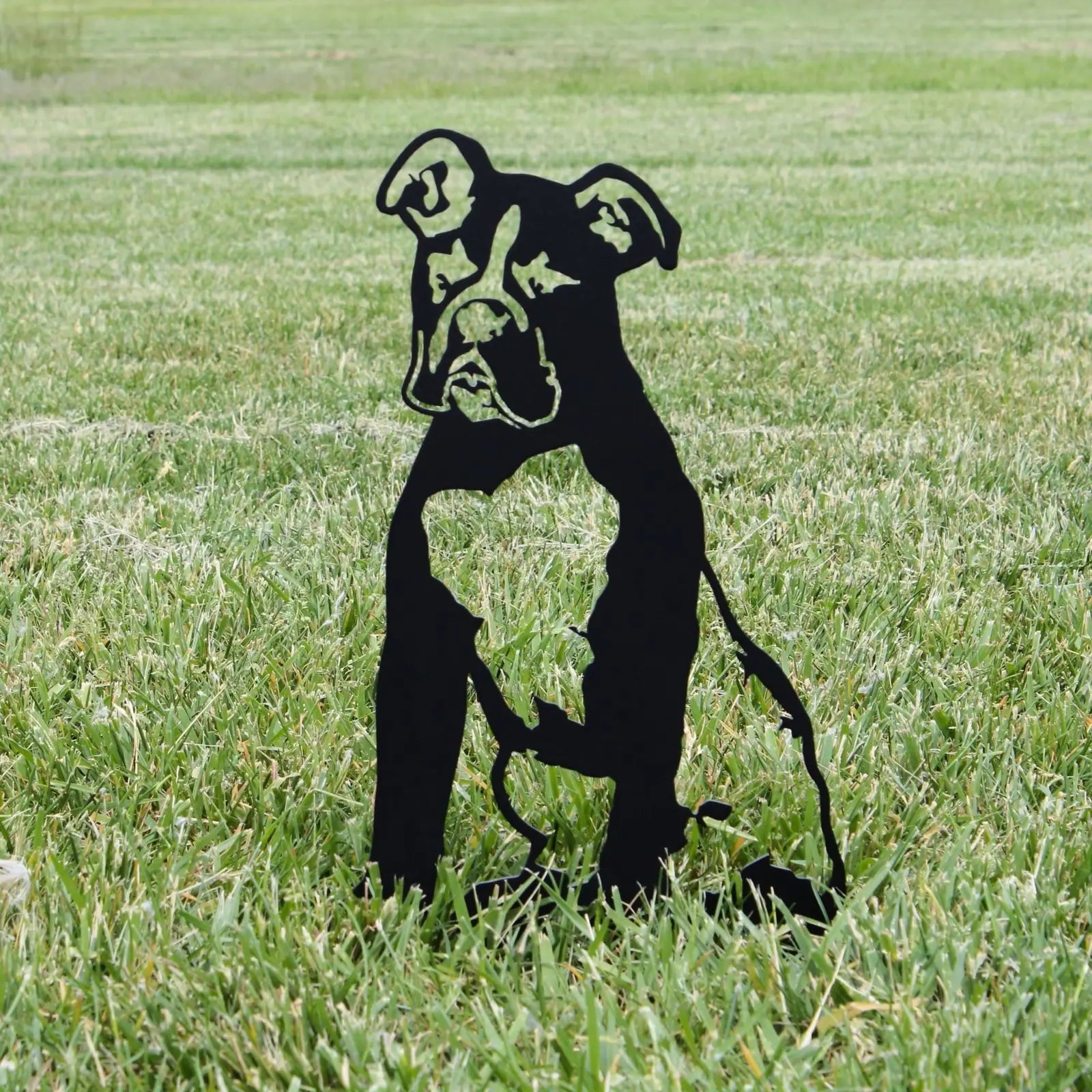 Black metal silhouette of a seated Boxer dog placed in green grass, showcasing detailed features for outdoor decor.