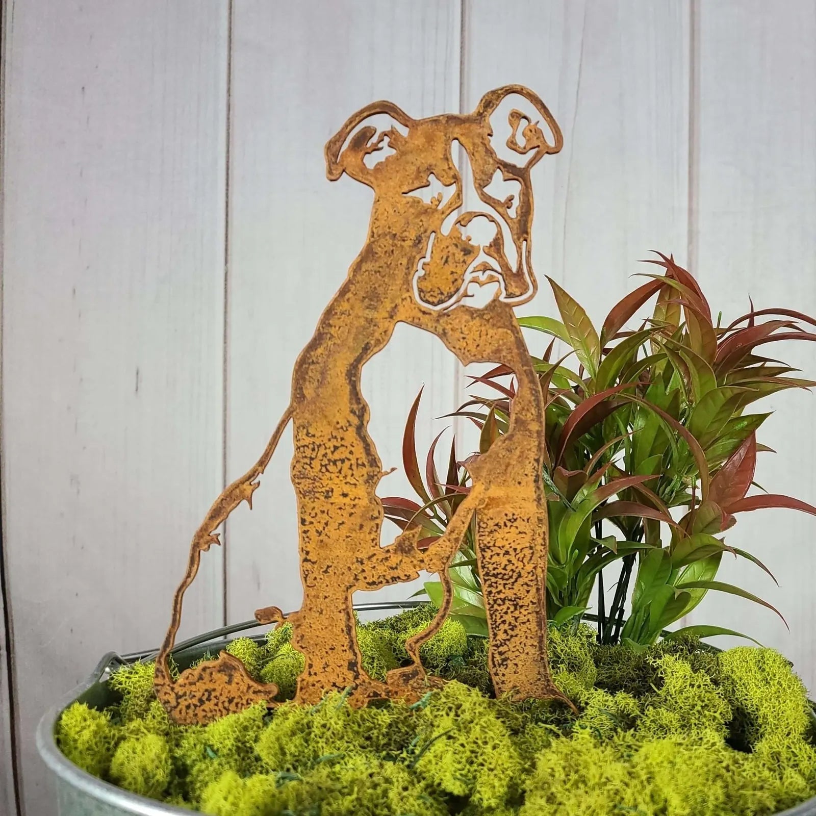 Rusty metal Boxer silhouette standing among vibrant green moss and foliage, designed for outdoor dog decor.