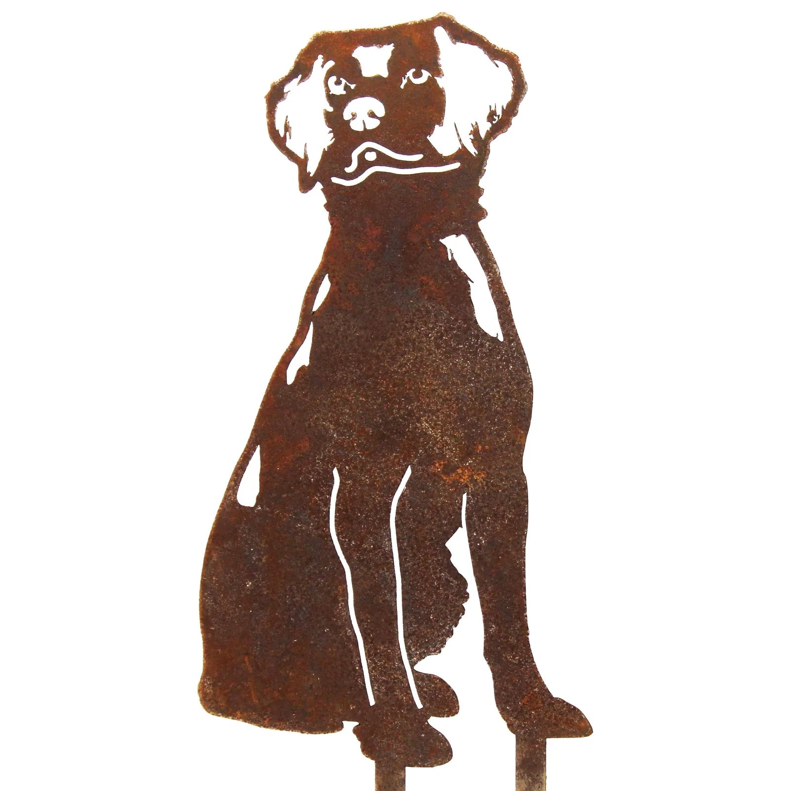 Brittany Spaniel dog silhouette in rustic Corten steel, showcasing detailed features for outdoor decor.