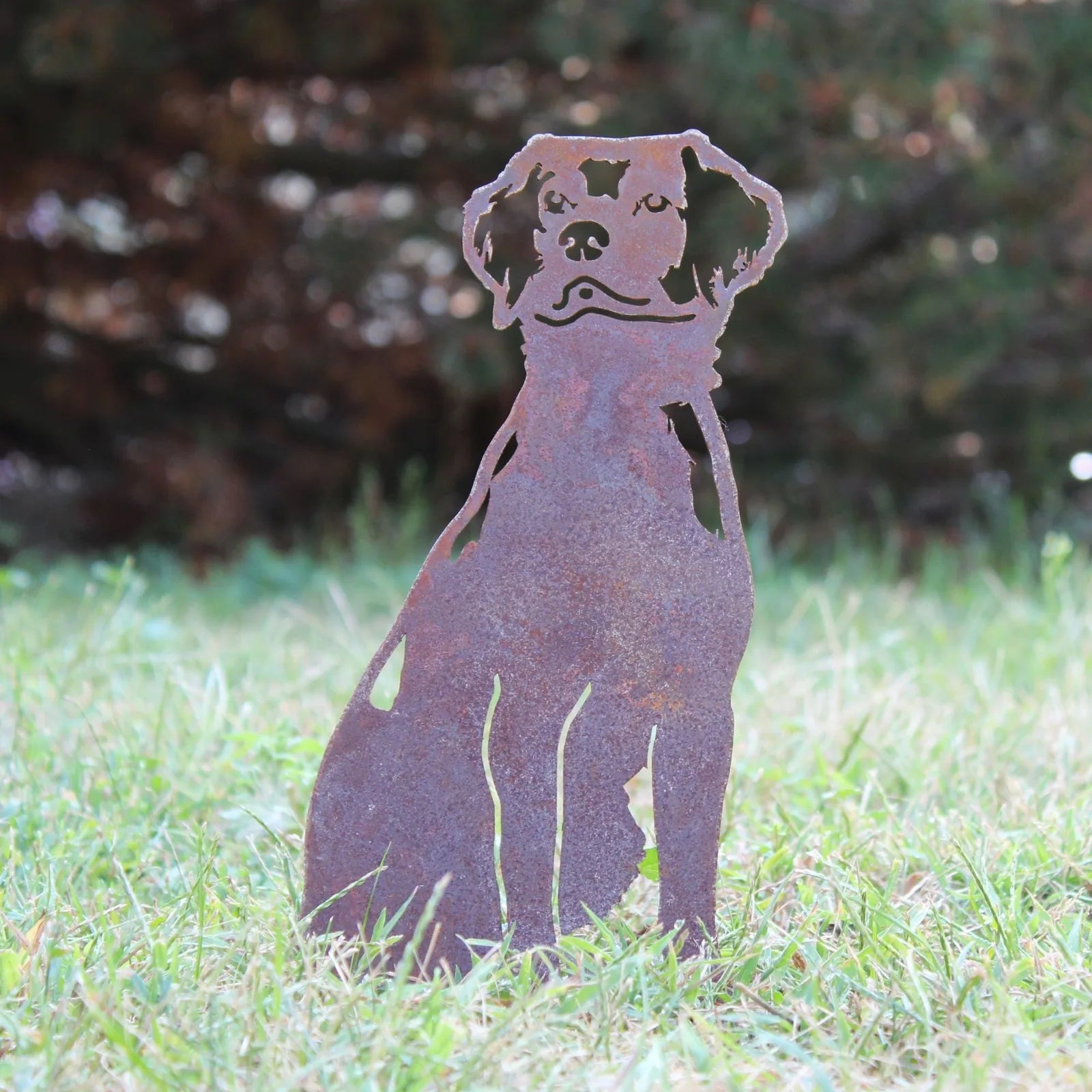 Rust-colored metal silhouette of a Brittany Spaniel sitting on grass, showcasing its detailed design for outdoor decoration.