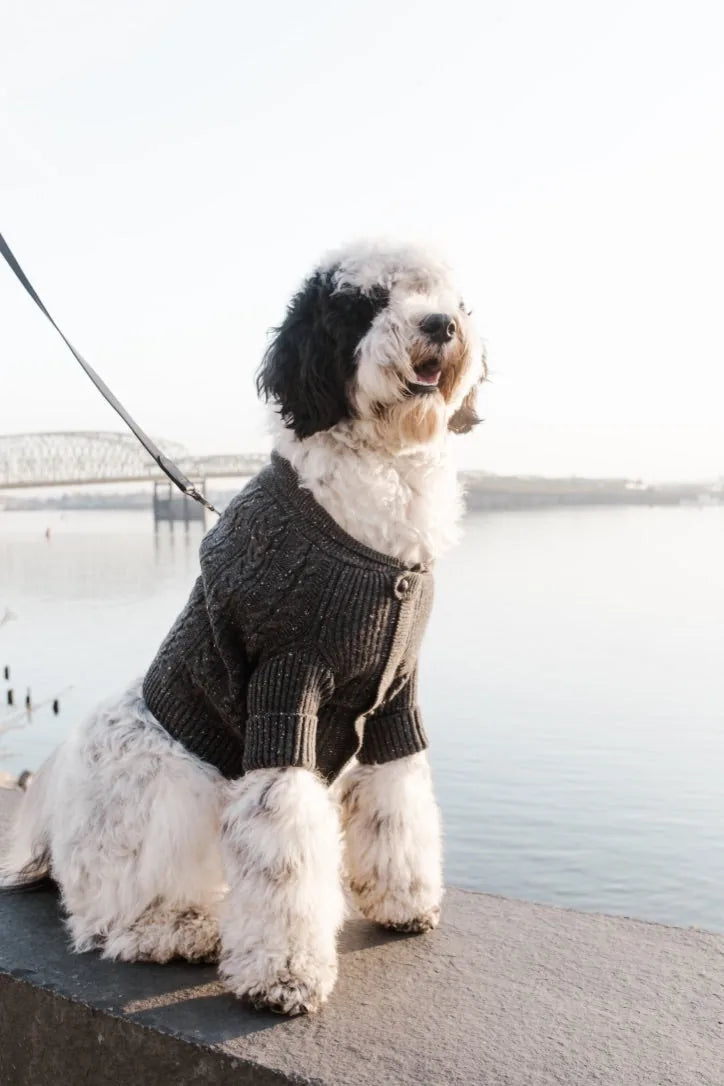 Charcoal cashmere dog cardigan with shawl collar, featuring leather buttons, styled on a fluffy dog by the water.