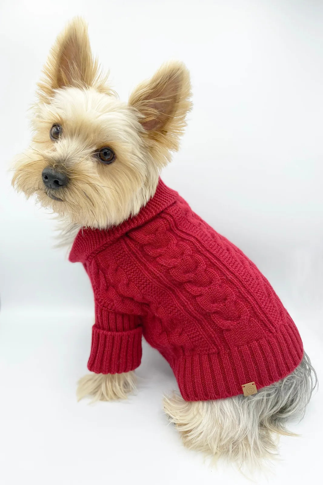Soft garnet cashmere cardigan for dogs, featuring a shawl collar and cable knit design, ideal for stylish, cozy outings.