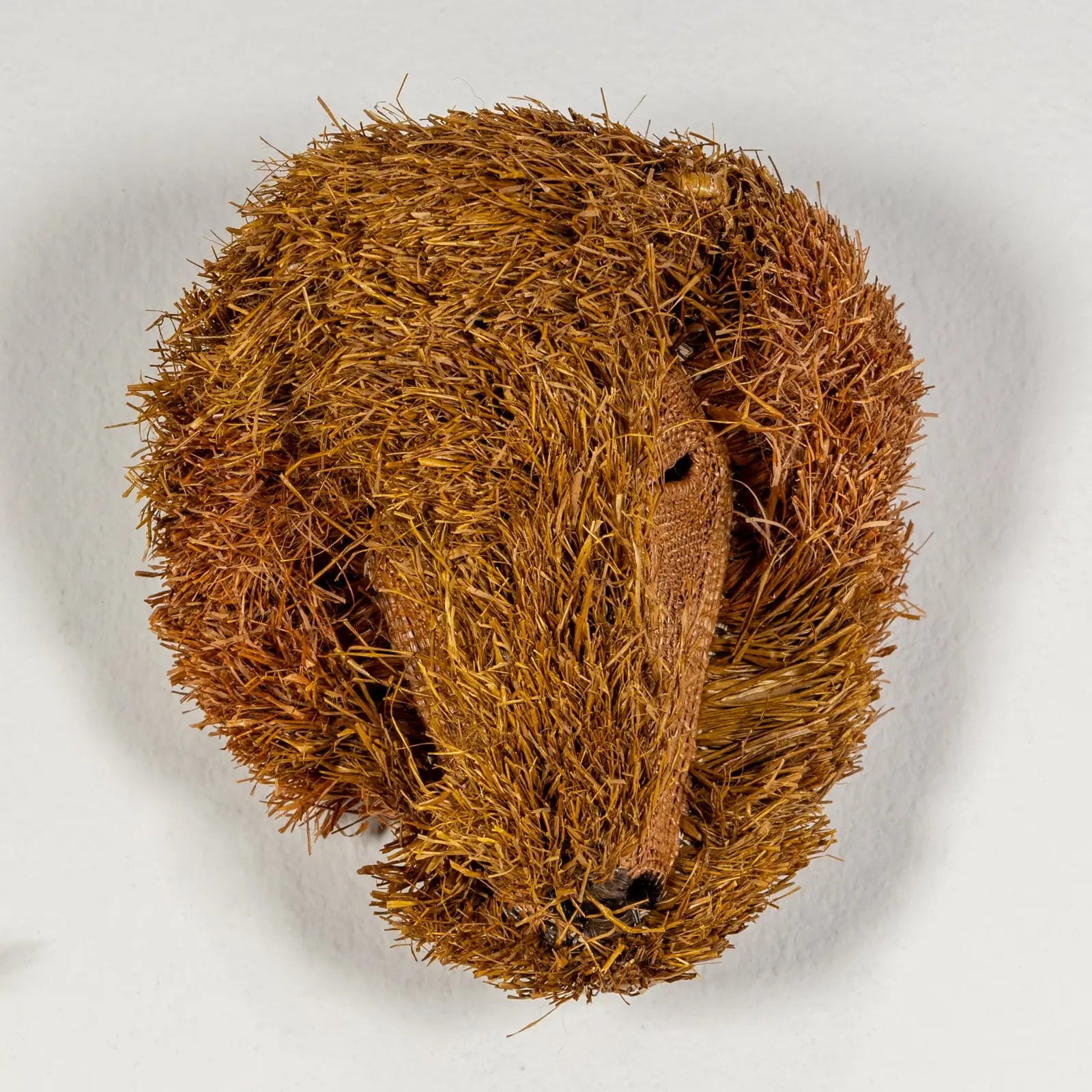 Handwoven Brown Labradoodle mask featuring intricate natural textures and warm, earthy tones, perfect for wall decor.