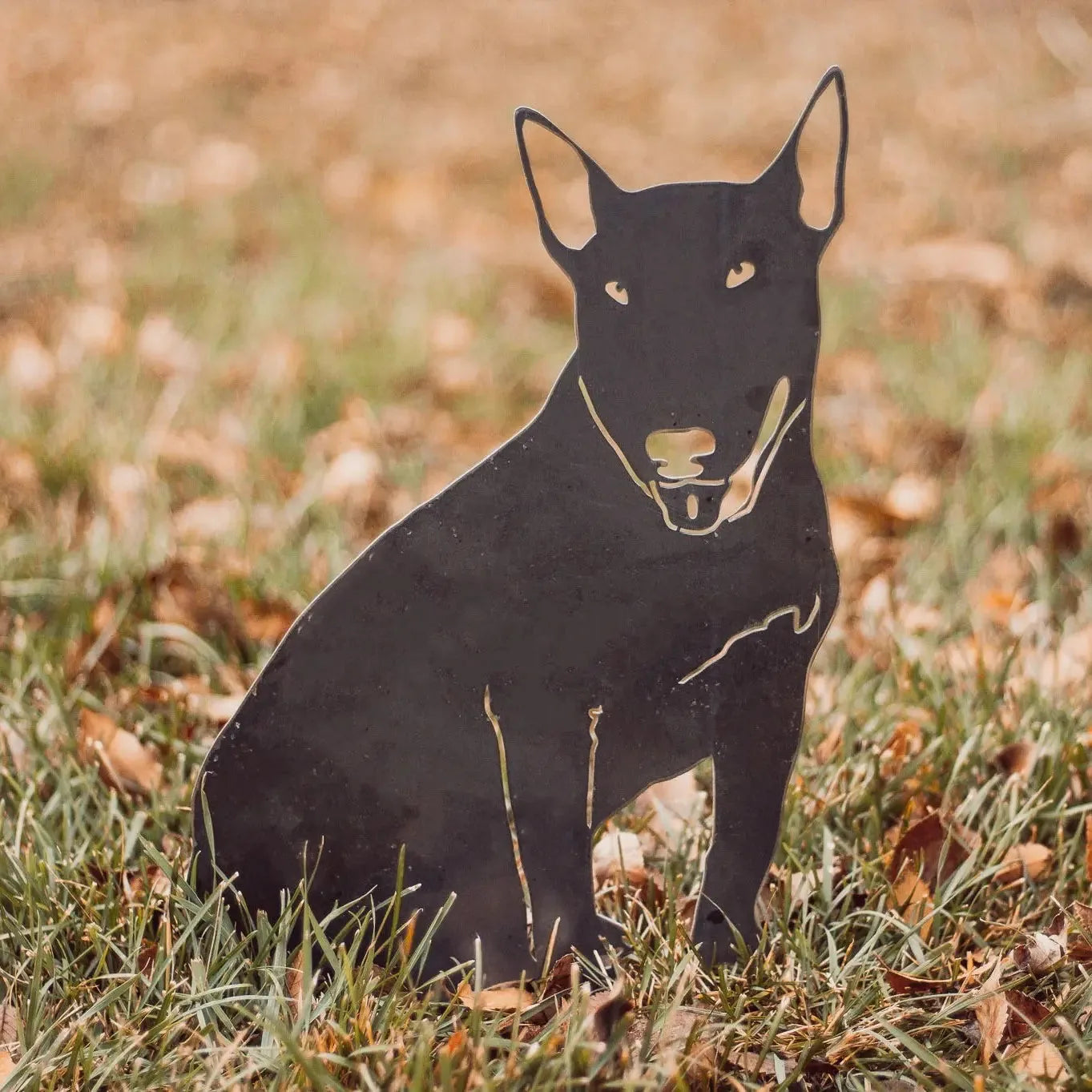 Bull Terrier metal silhouette in black, made of sturdy weathering steel, displayed on grass with fallen leaves.
