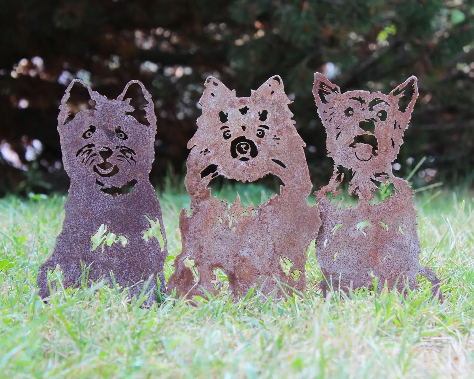 Cairn Terrier metal silhouettes in rusty Corten steel, displaying playful expressions, set against a grassy backdrop.