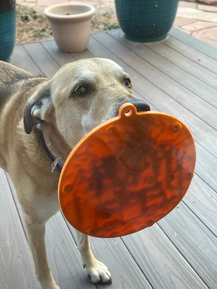 Dog holds an orange Camp eMat lick mat with textured surface, featuring a retro design, on a wooden deck.