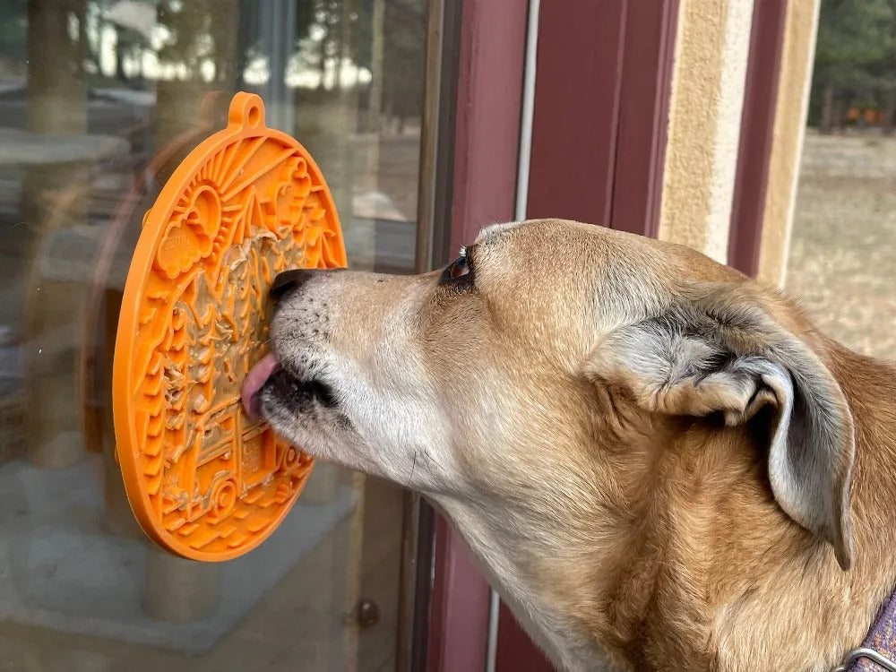 Dog licking an orange Camp eMat with vintage camper van design, adhered to a glass surface, providing enrichment.