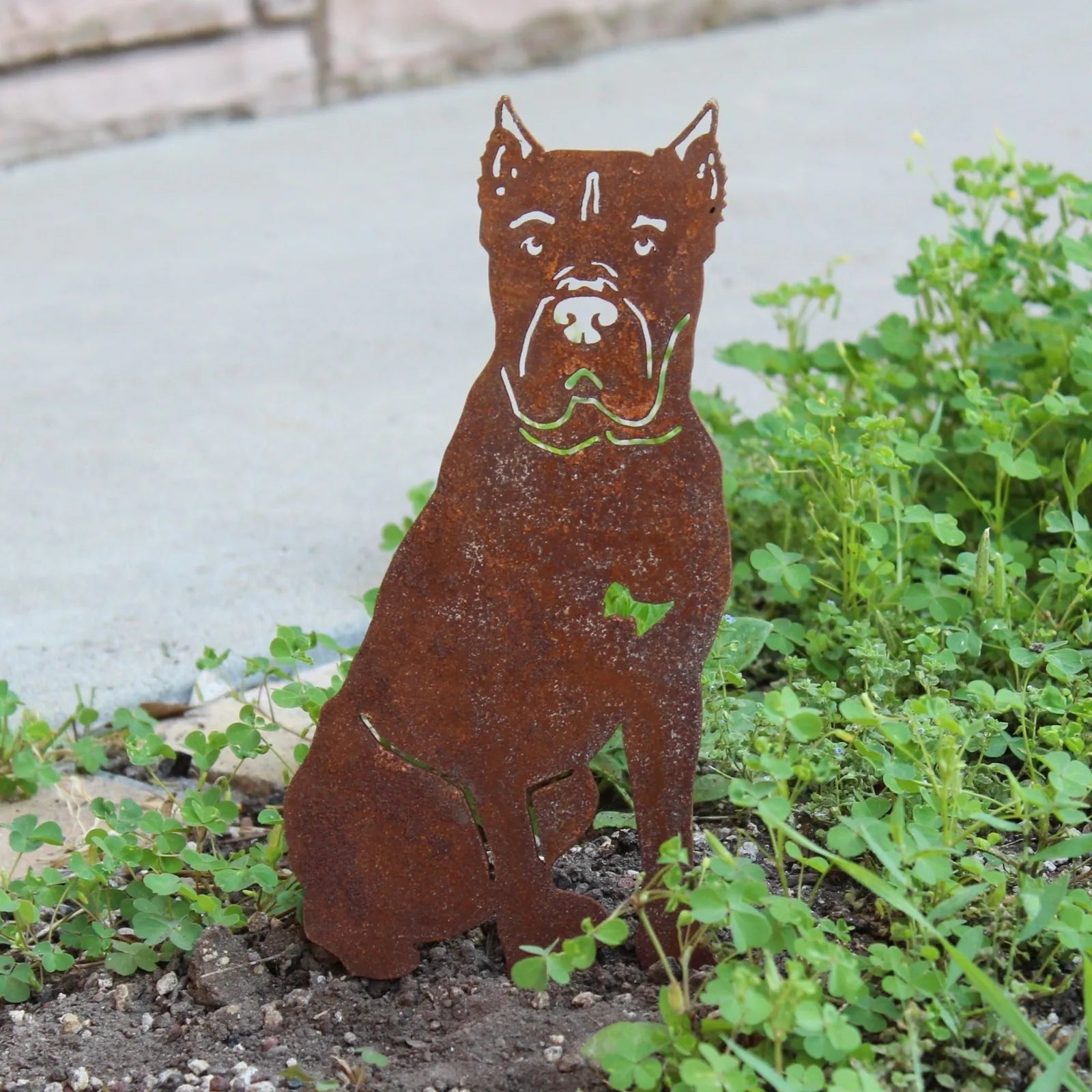 Rusty metal silhouette of a Cane Corso dog, set among green plants in an outdoor garden space.