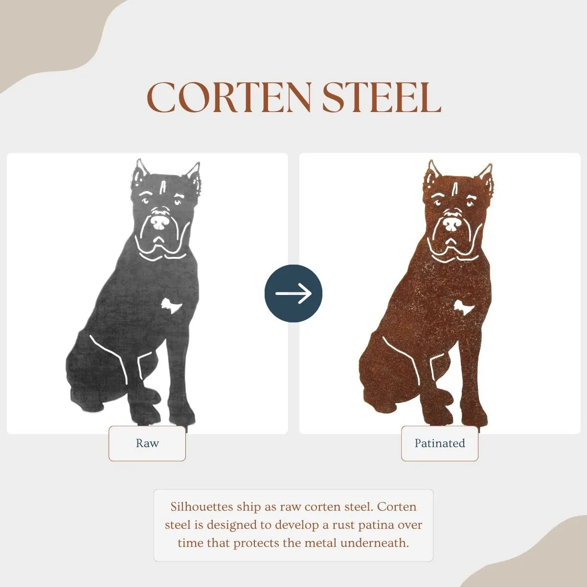 Cane Corso metal silhouette comparison: raw black finish on left, weathered rust patina on right from Corten steel.