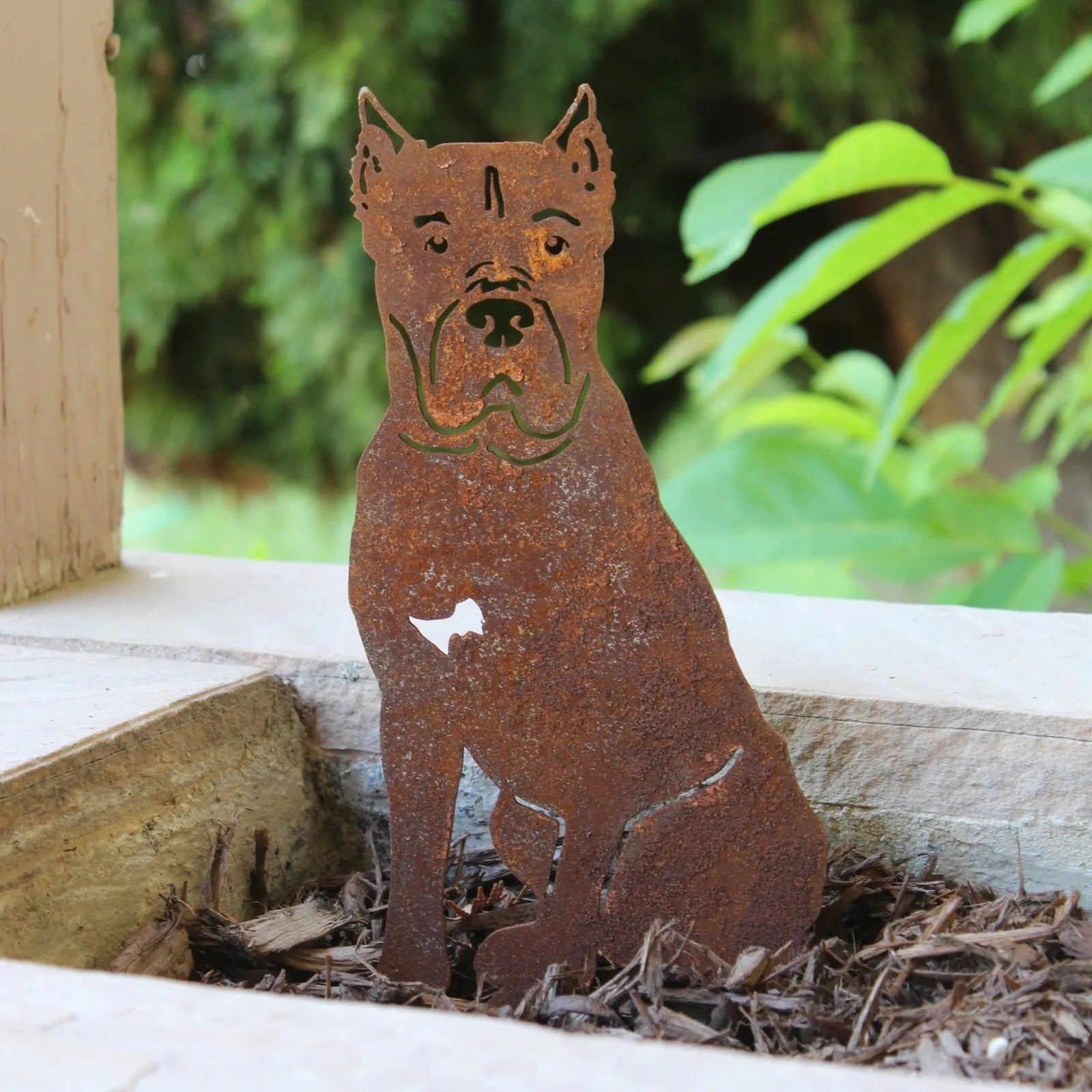 Cane Corso metal silhouette in rust patina, handcrafted from weathering steel, placed in garden mulch.
