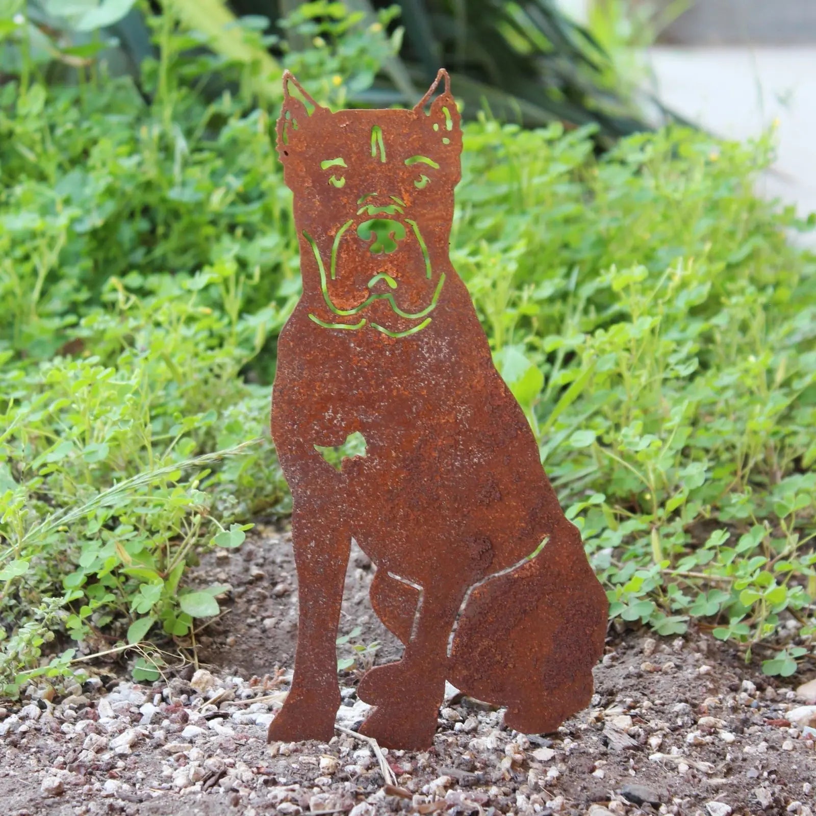 Cane Corso metal silhouette in rusted Corten steel, standing among green plants in an outdoor garden setting.
