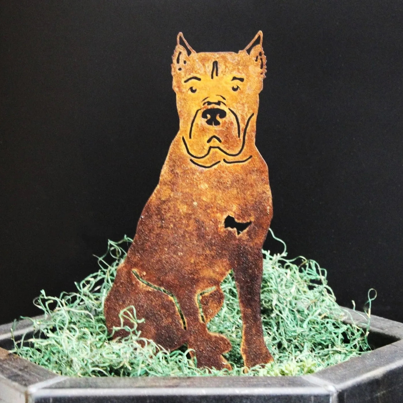 Cane Corso metal silhouette in rusted Corten steel, displayed with green moss in a planter. Ideal for outdoor decor.