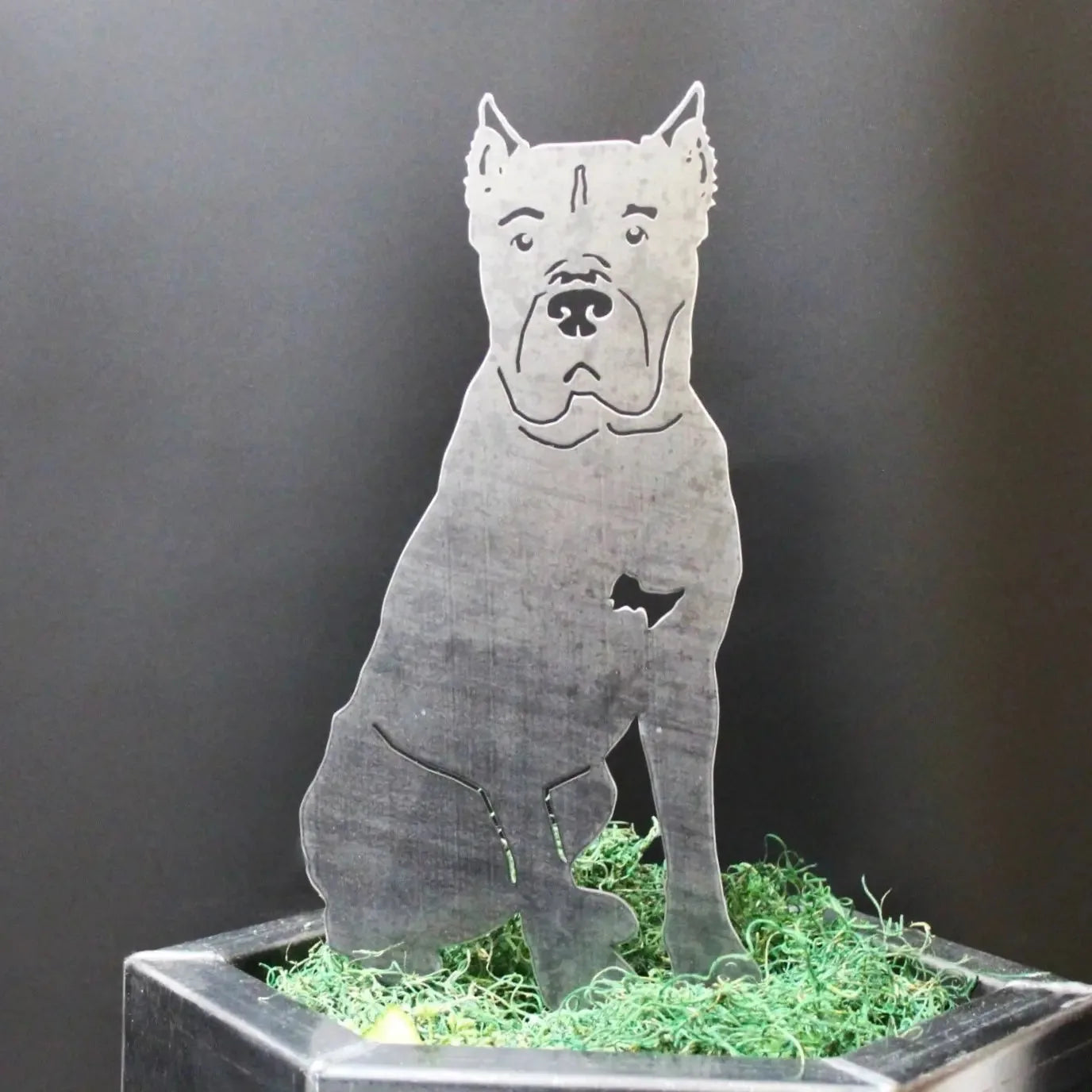 Cane Corso metal silhouette in shiny steel, seated with a textured finish, surrounded by green moss in a planter.