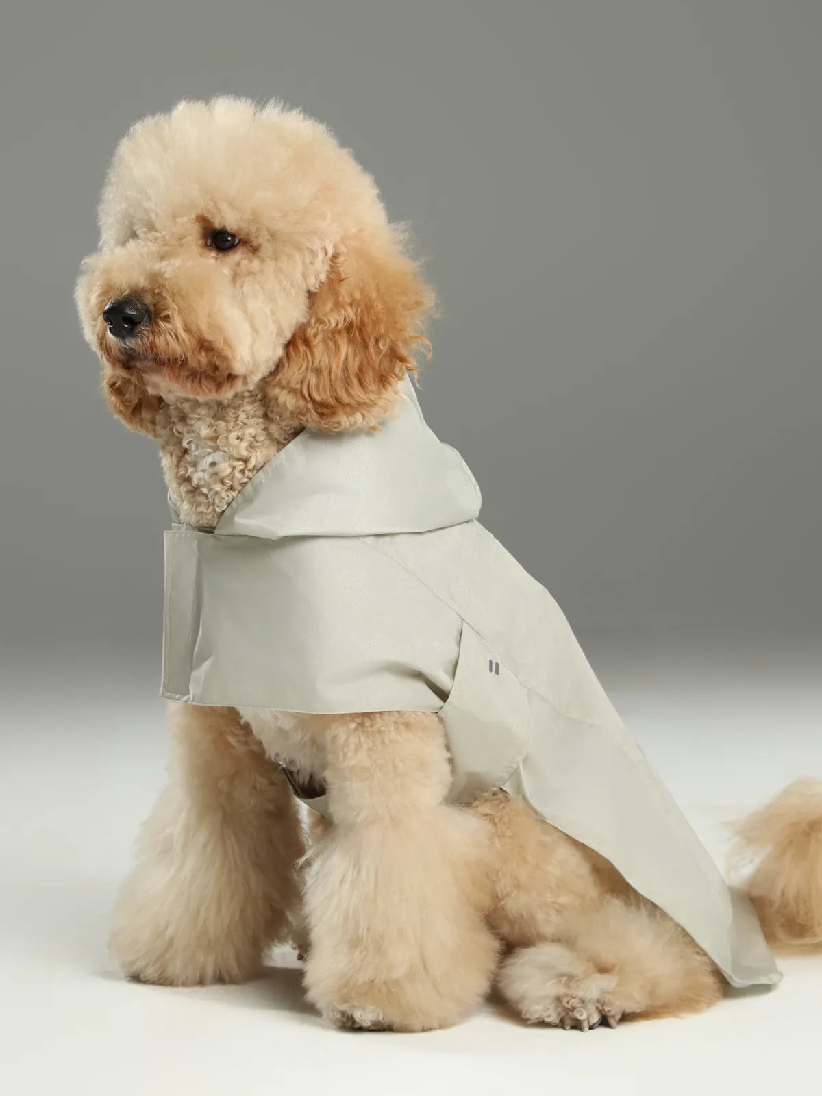 Beige water-repellent capsule raincoat on a fluffy dog, featuring a secure fit and easy on-off design.