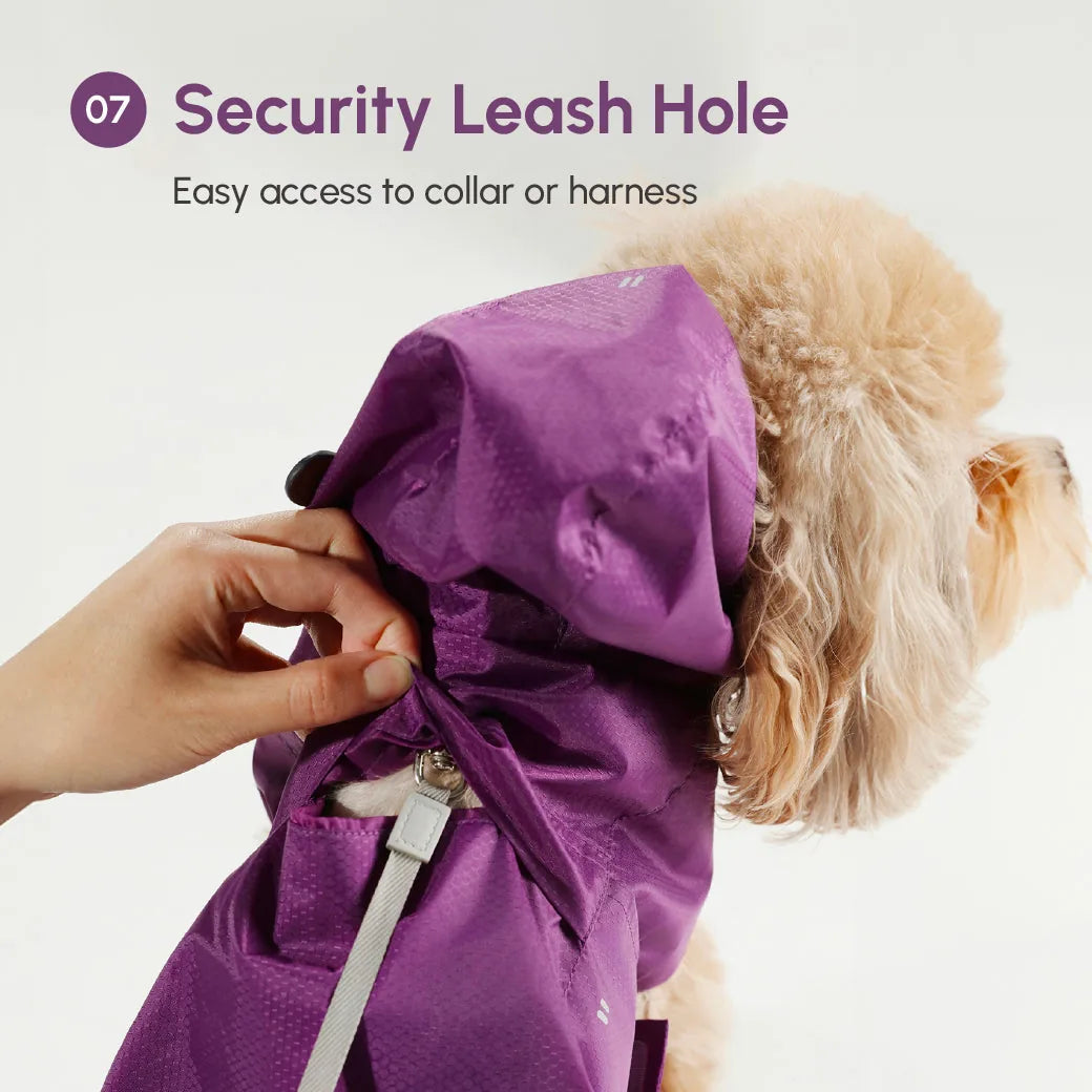 Lightweight purple raincoat featuring a security leash hole for easy access to a dog's collar or harness.