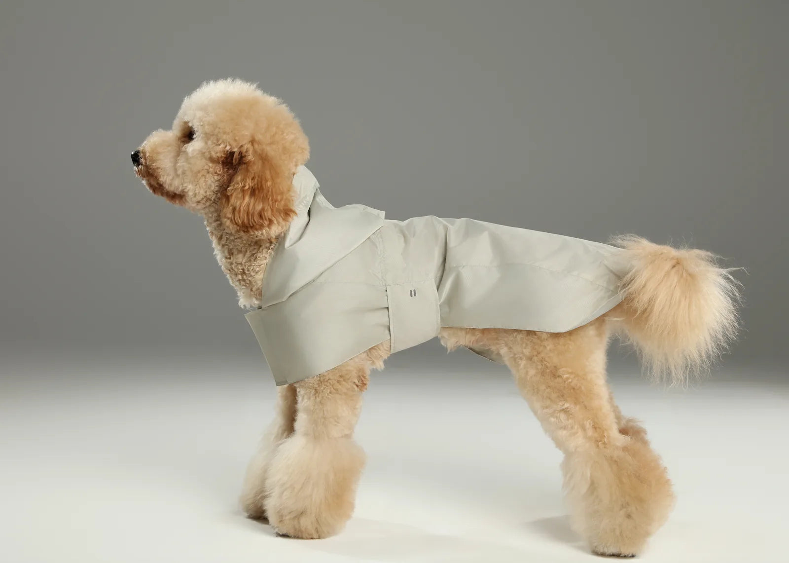 Beige lightweight raincoat on a fluffy dog, showcasing its one-piece design and secure fit for comfort and protection.