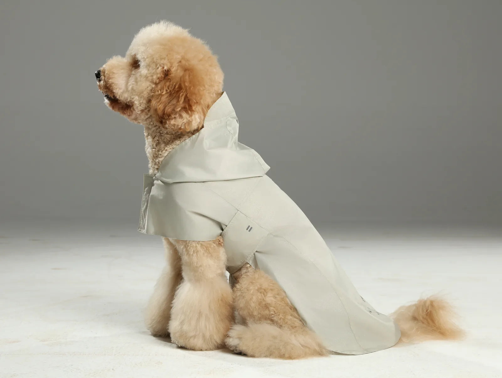 Beige lightweight raincoat on a fluffy dog, featuring a cloak design and reflective strips for visibility.