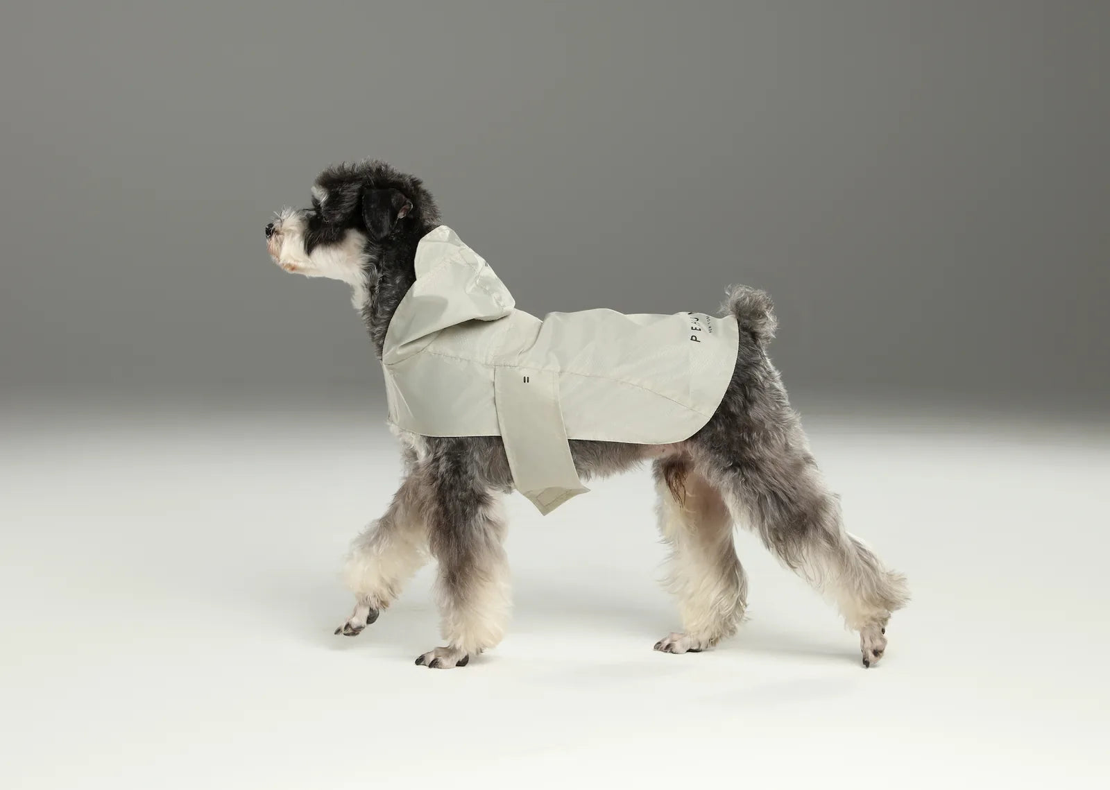 Beige lightweight raincoat on a dog, featuring a hood and adjustable straps for a secure fit.