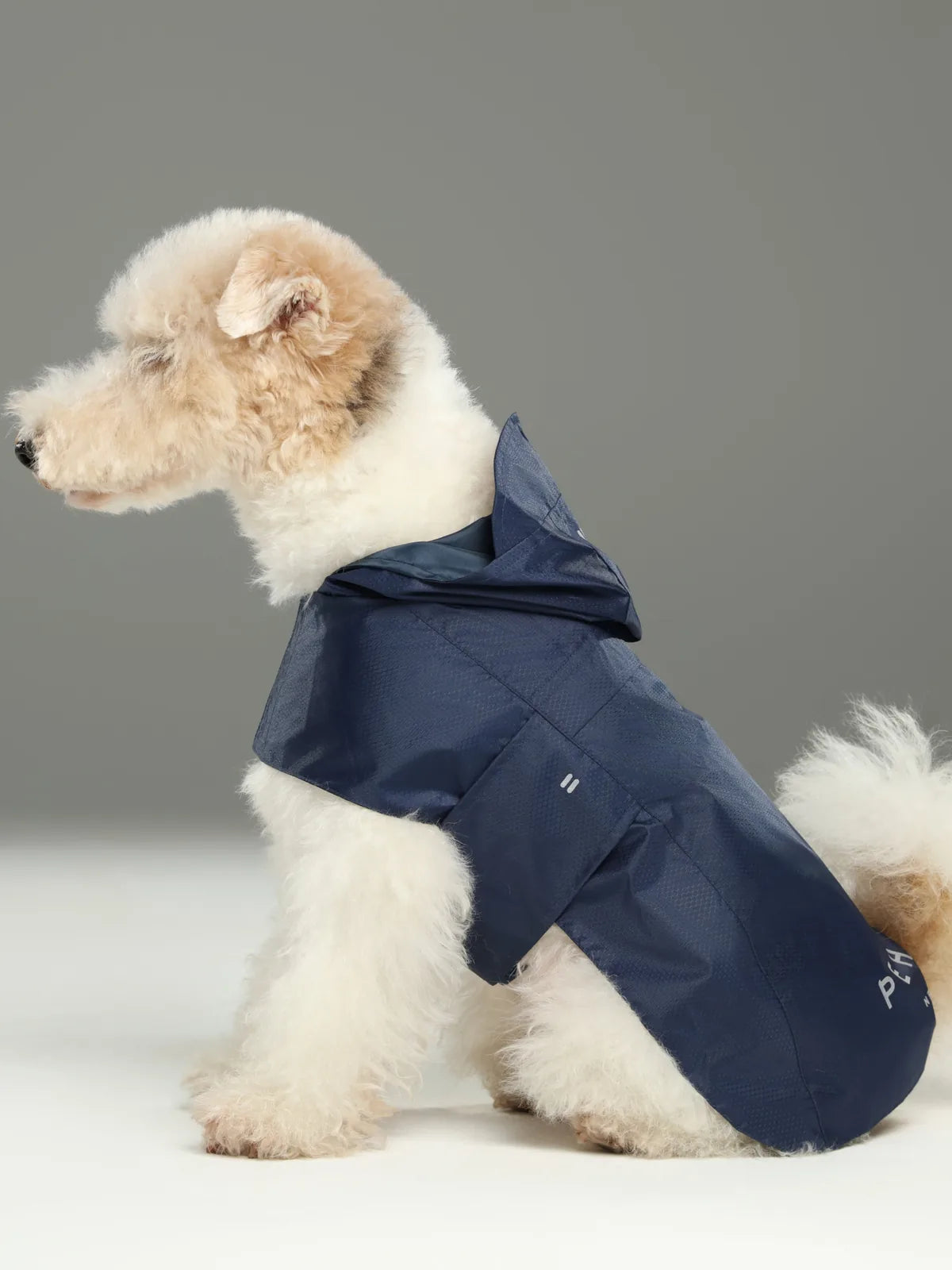 Blue lightweight raincoat on a fluffy white dog, featuring a hood and adjustable straps for a secure fit.