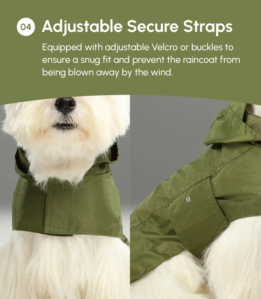 Adjustable green raincoat with secure straps, designed to keep dogs dry and comfortable in wet weather.