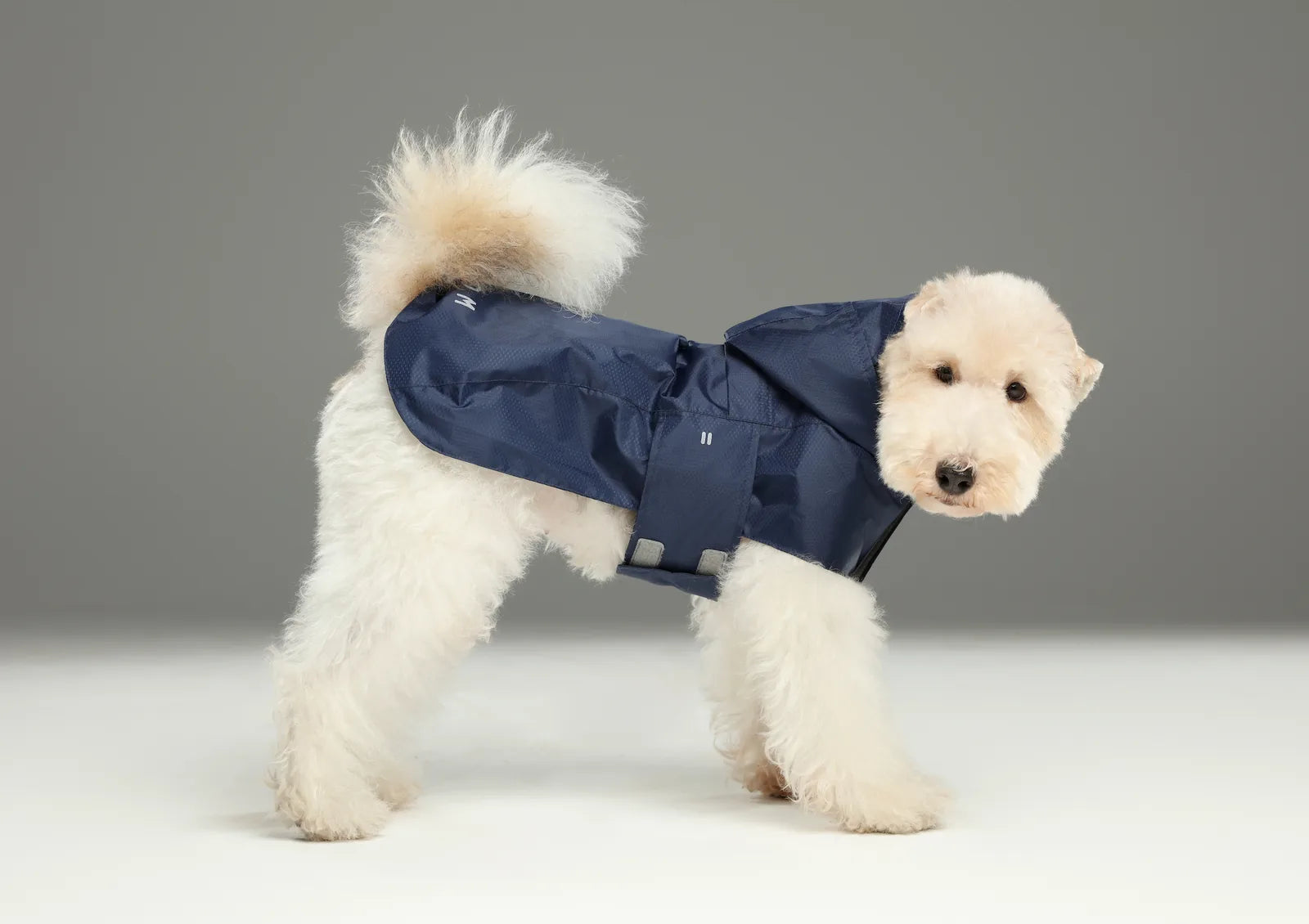 Lightweight blue raincoat for dogs with adjustable straps and reflective strips, designed for comfort and mobility.