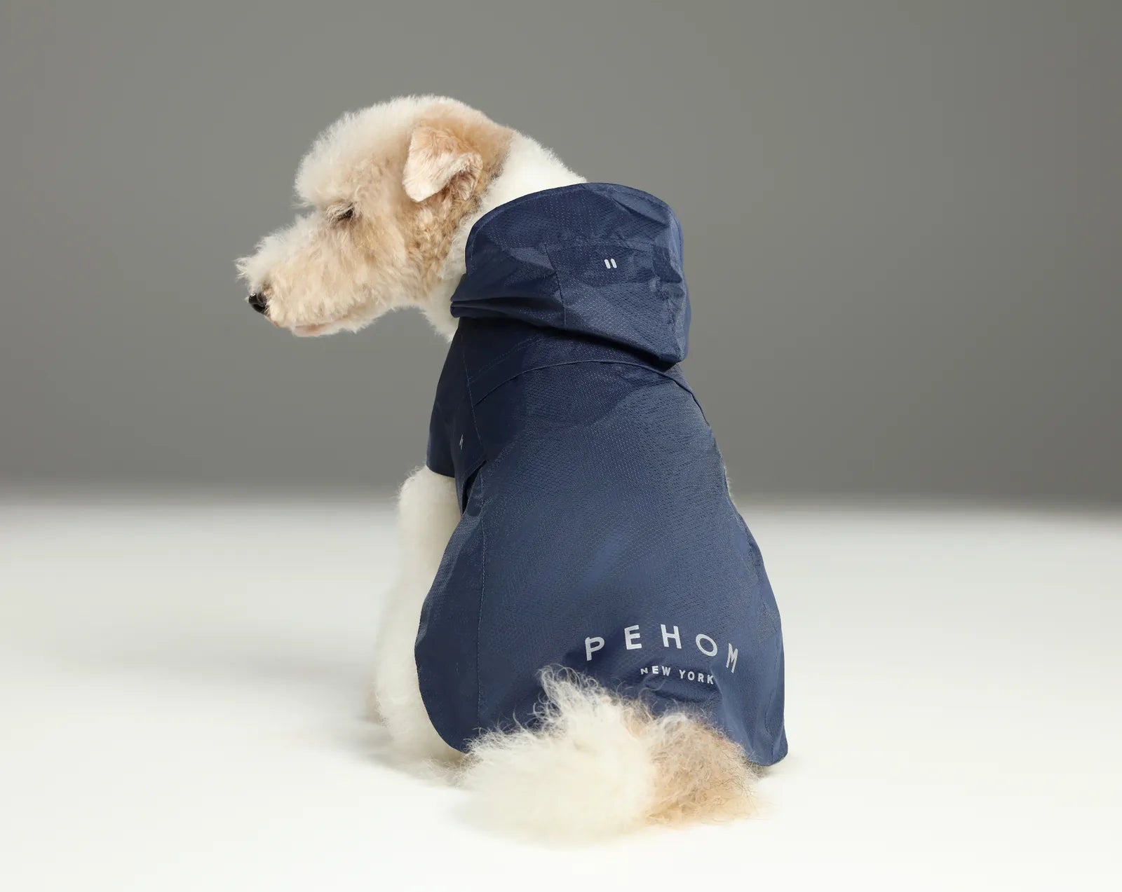 Blue water-repellent capsule raincoat on a dog, featuring a hood and reflective detailing for visibility.