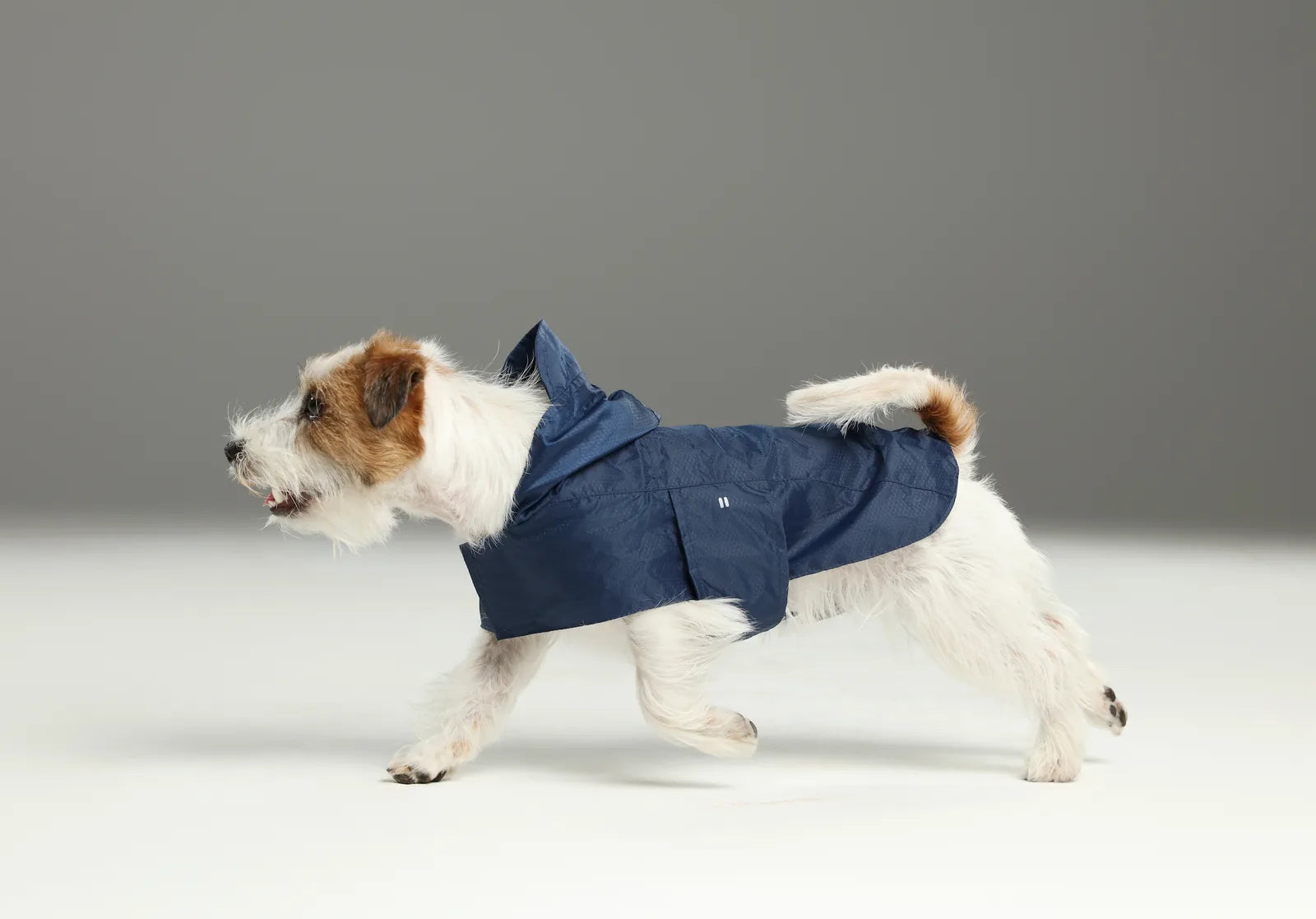 Blue capsule raincoat on a small dog, featuring a hood and lightweight, water-repellent fabric for comfort.