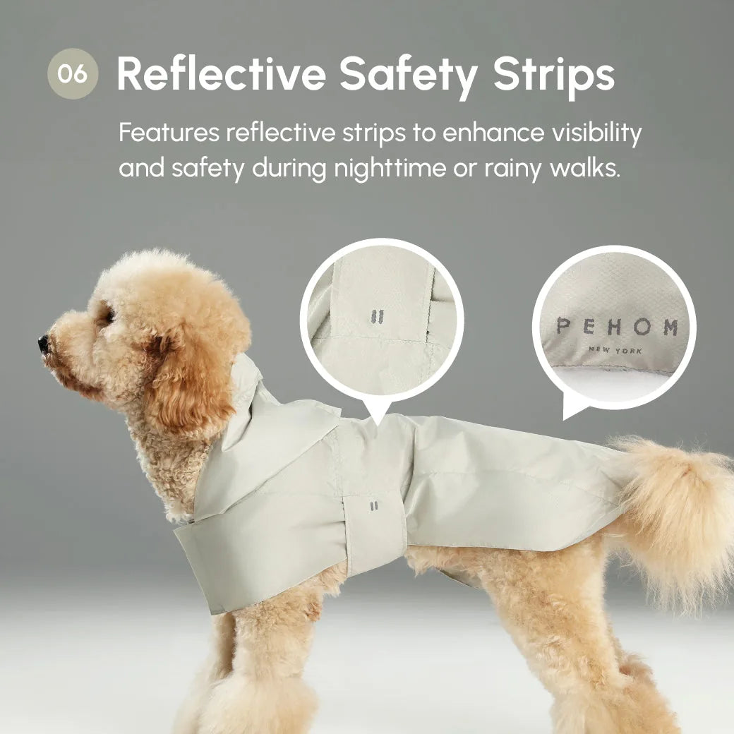 Lightweight green raincoat on a dog, featuring reflective strips for visibility and made from water-repellent fabric.