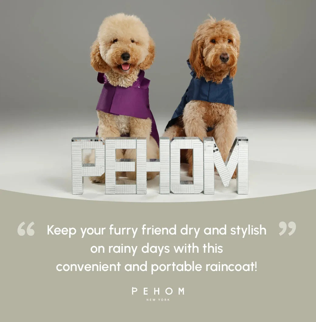 Two dogs wearing colorful raincoats stand beside a reflective “PEHOM” sign, showcasing stylish dog apparel for wet weather.