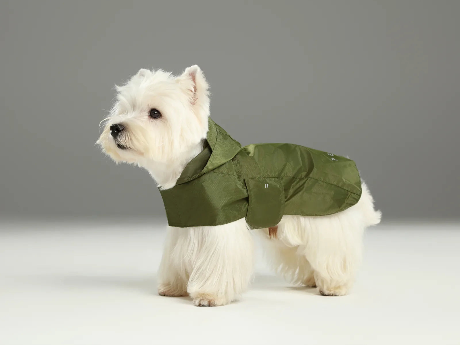 Lightweight green raincoat on a small white dog, featuring a hood and adjustable straps for comfort and fit.