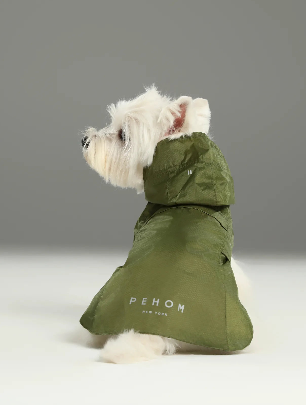Lightweight green PEHOM raincoat on a small dog, featuring a hood and reflective branding for visibility.