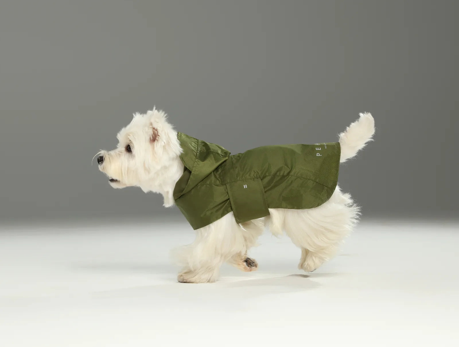 White dog wearing a green capsule raincoat, showcasing its lightweight, water-repellent design and secure fit.